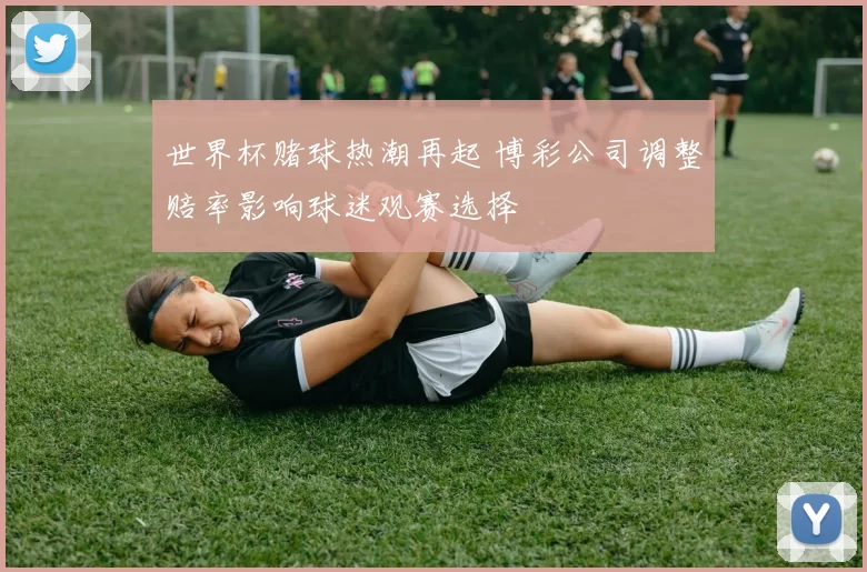 世界杯赌球热潮再起 博彩公司调整赔率影响球迷观赛选择